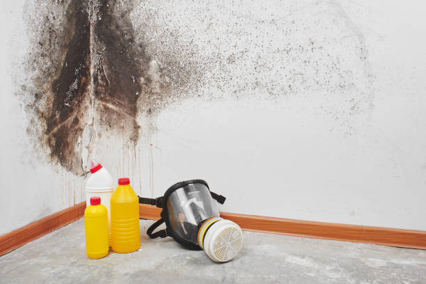 Certified Mold Removal in Arial, SC