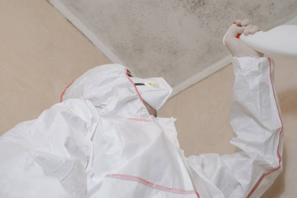 Best Mold Cleaning Services  in Arial, SC